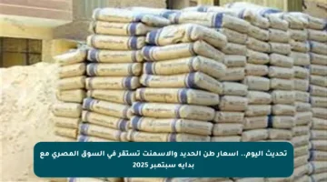 تحديث اليوم.. أسعار طن الحديد والأسمنت تستقر في السوق المصري مع بداية سبتمبر 2025